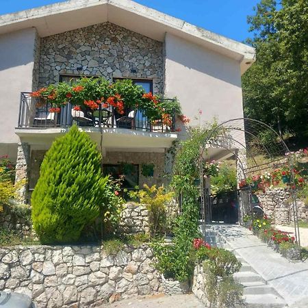 Dado Apartment Virpazar Exterior photo